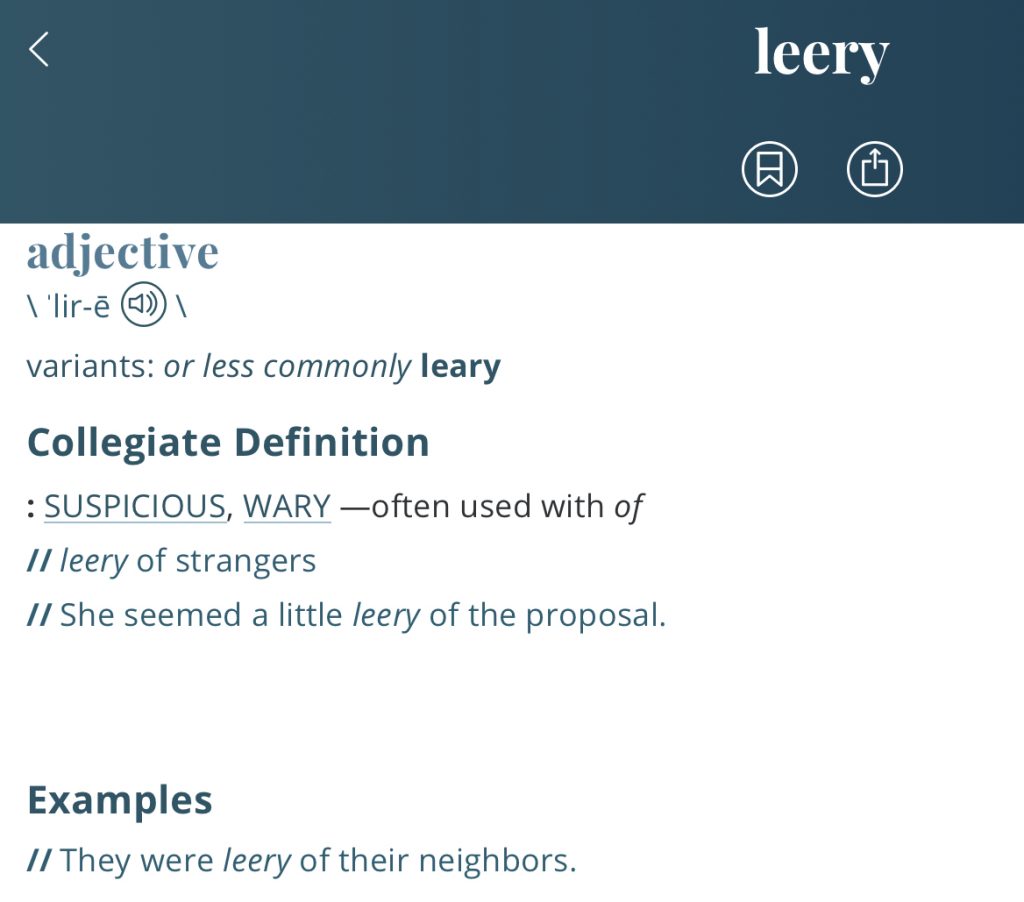Definition-leery