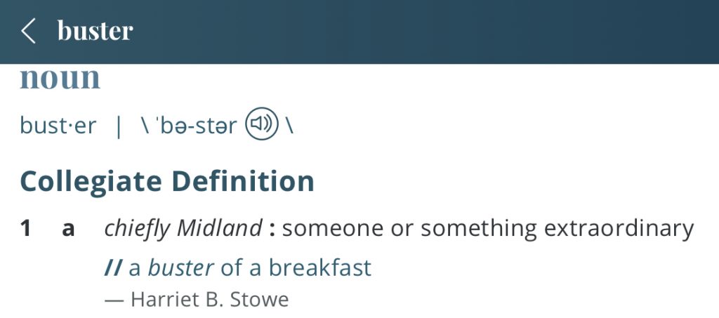 Definition-buster