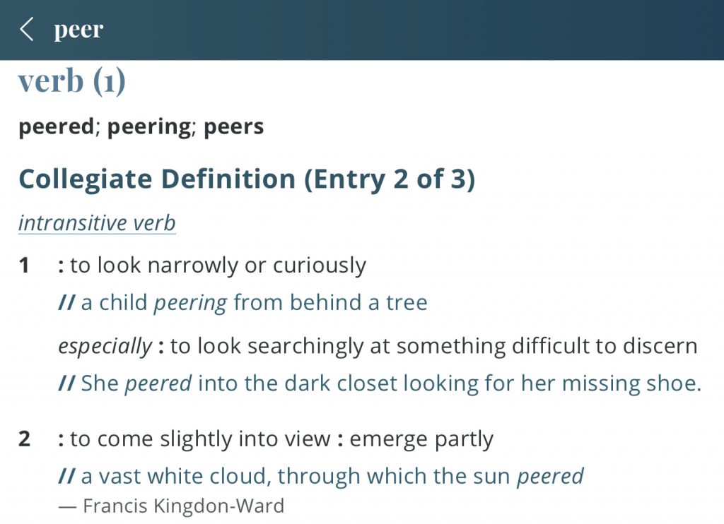 Definition-peer
