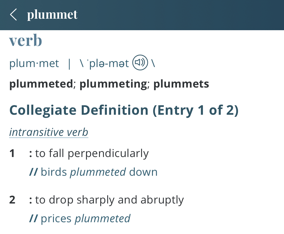 Definition-plummet