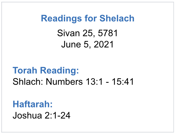 Readings-for-Shelach