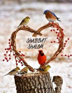 Shabbat-Shalom-birds