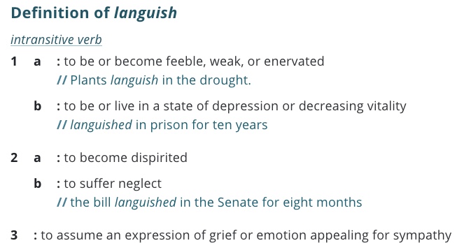 definition-languish