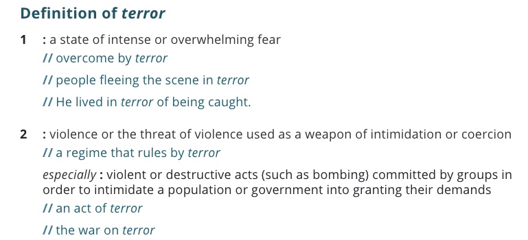 definition-terror