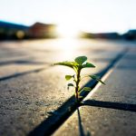 #Adversity of #Affliction by the #Adversary