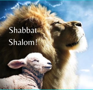 lion-lamb-shabbat-shalom-28-final