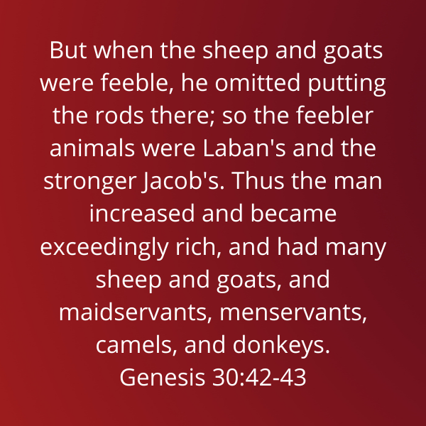 Genesis30-42-43