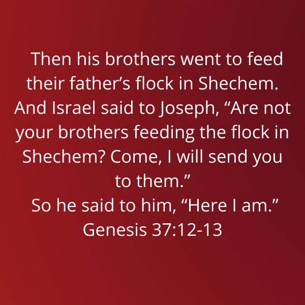 Genesis37-12-13