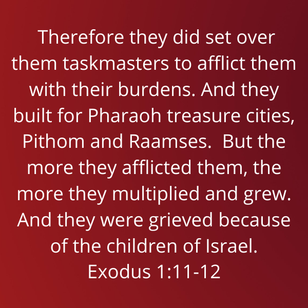 Exodus1-11-12