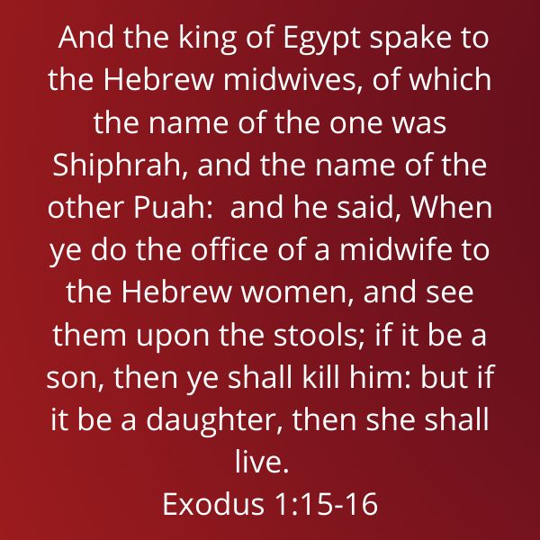 Exodus1-15-16