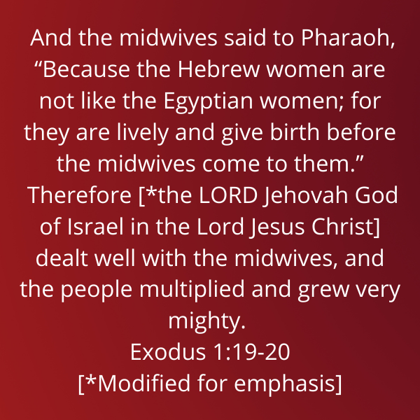 Exodus1-19-20