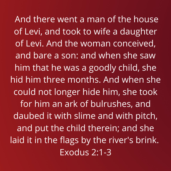 Exodus2-1-3