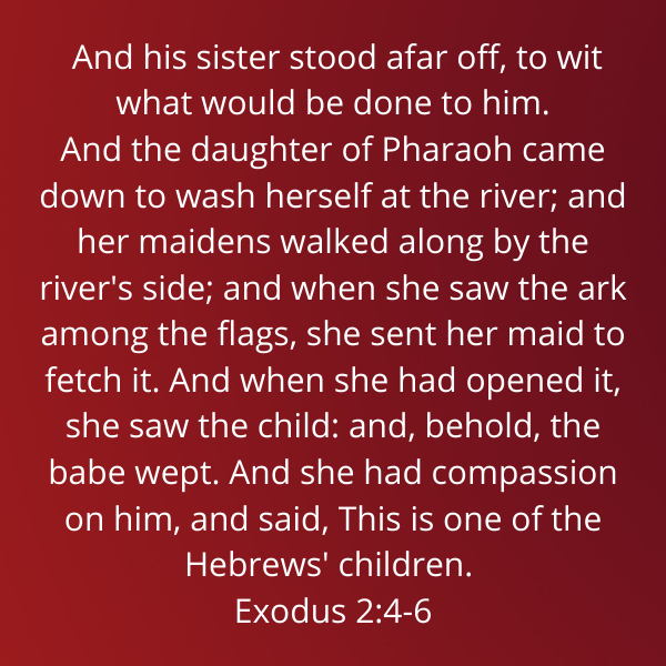 Exodus2-4-6