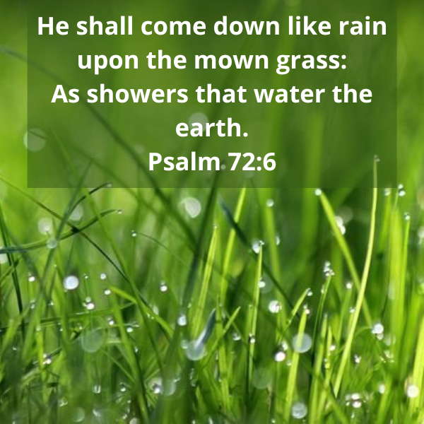 Psalm72-6