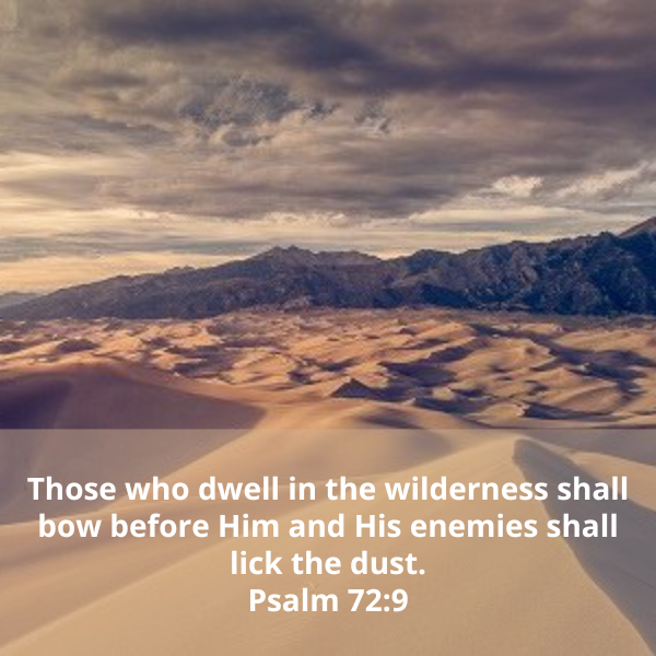 Psalm72-9