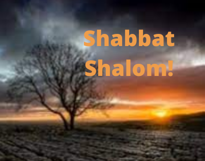 shabbat-shalom-tree-of-winter-4