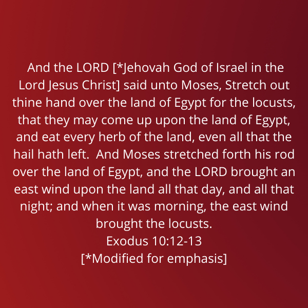 Exodus10-12-13