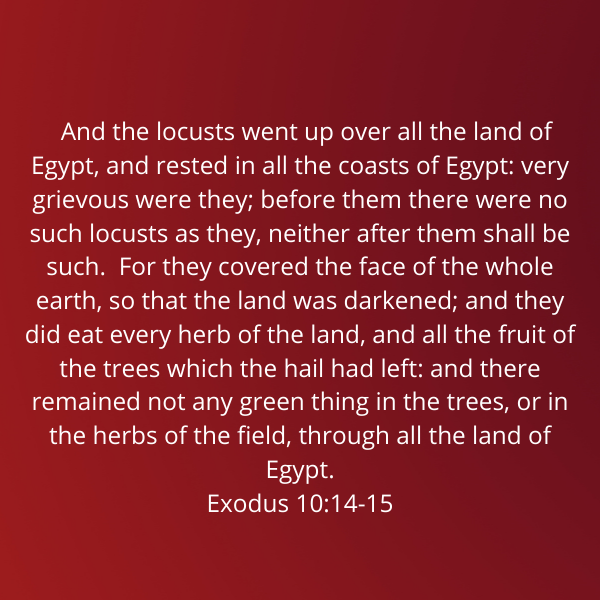 Exodus10-14-15