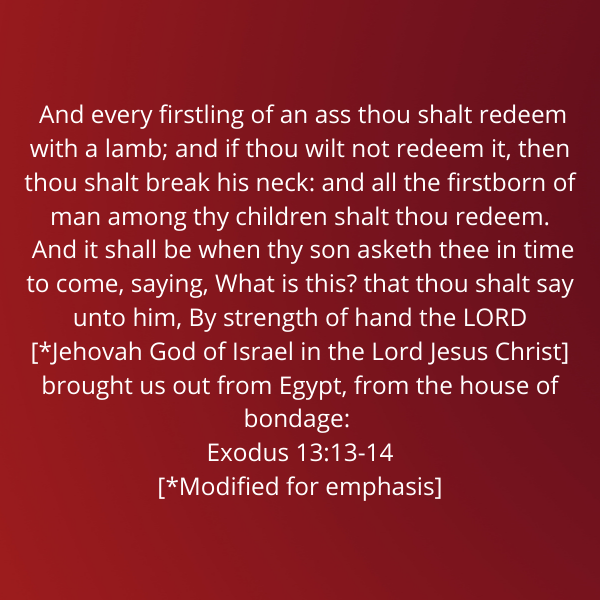 Exodus13-13-14