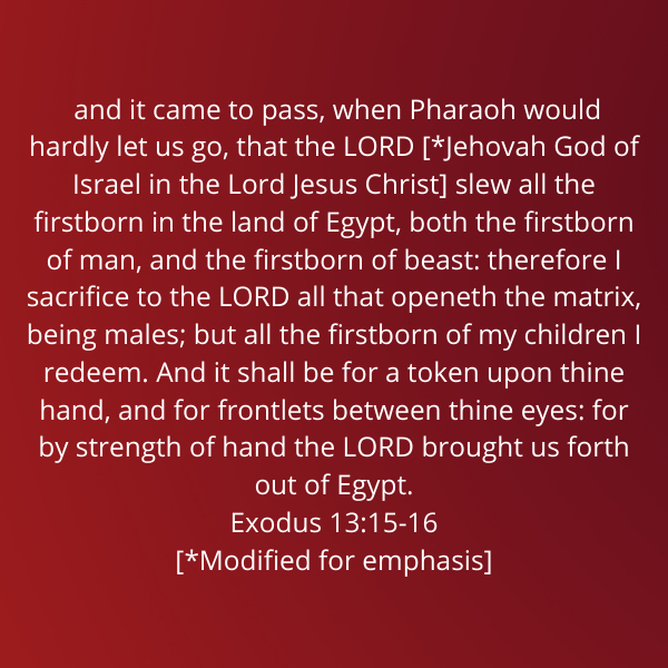 Exodus13-15-16