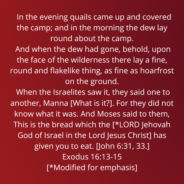 Exodus16-13-15a