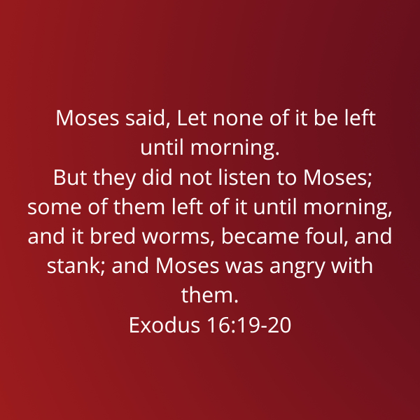 Exodus16-19-20