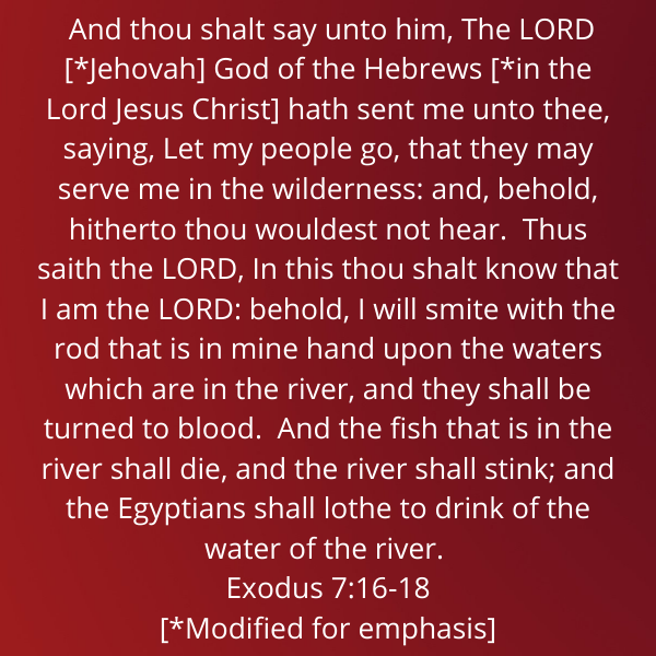 Exodus7-16-18