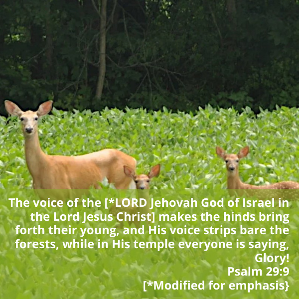 Psalm29-9