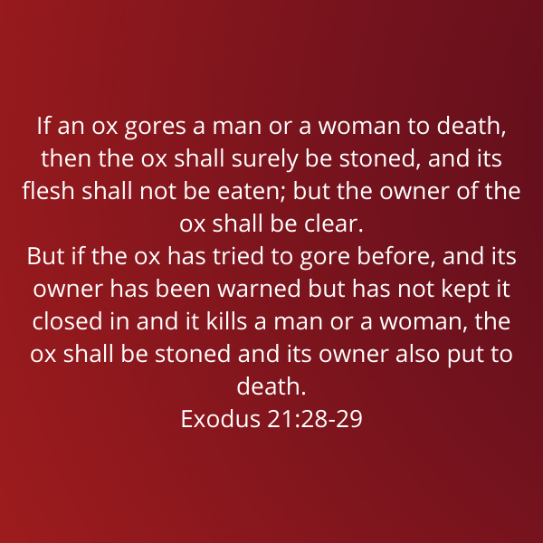 Exodus21-28-29