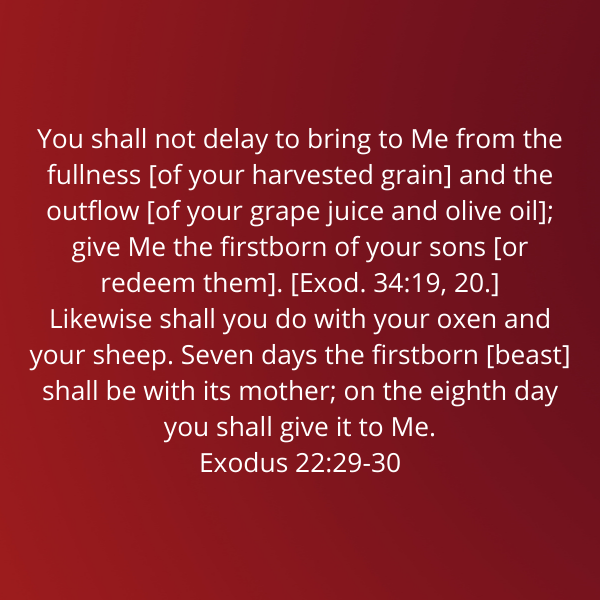 Exodus22-29-30