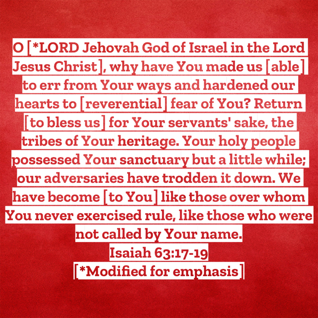 Isaiah63-17-19