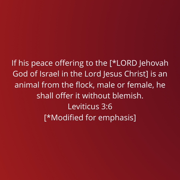 Leviticus3-6-Vayikra