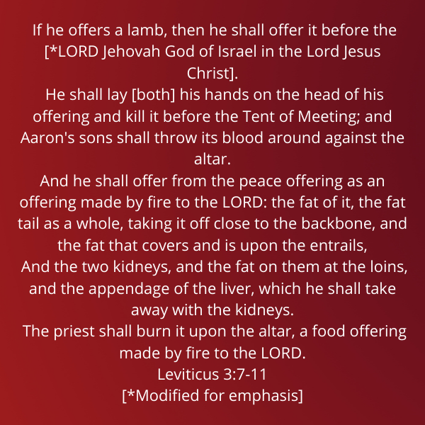 Leviticus3-7-11-Vayikra