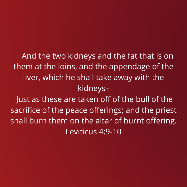 Leviticus4-9-10-Vayikra