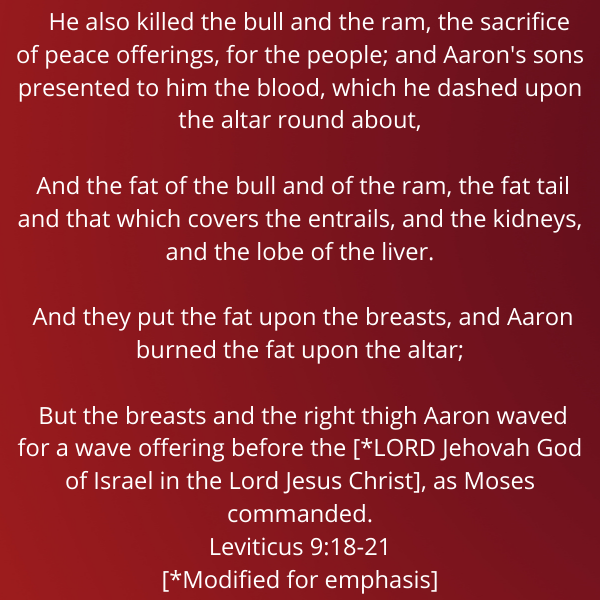 Leviticus9-18-21-Shemini