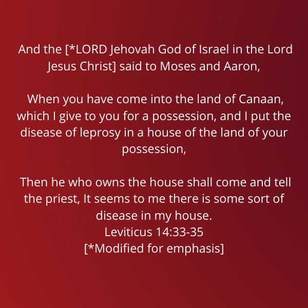 Leviticus14-33-35-Metzora
