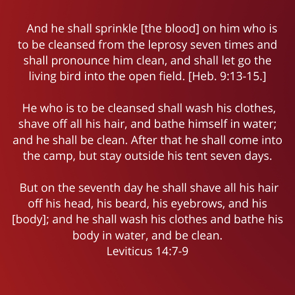 Leviticus14-7-9-Metzora