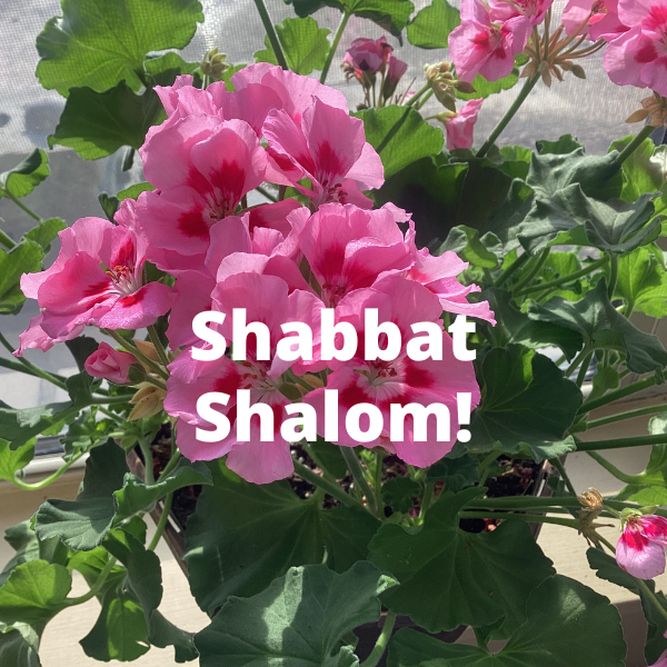 Shabbat Shalom-59