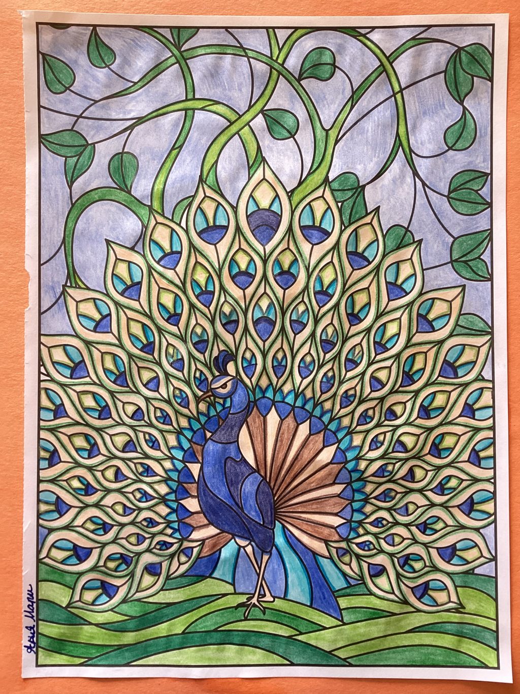 impeccable-peacock