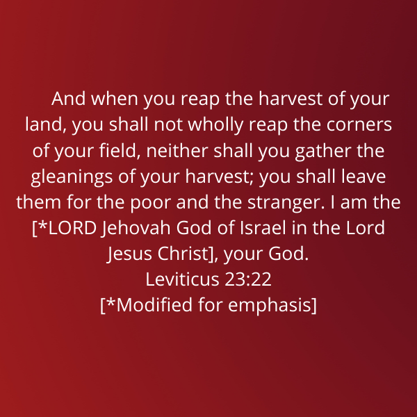 Leviticus23-22-Emor