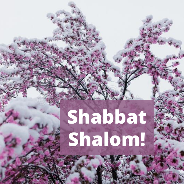 Shabbat Shalom-62