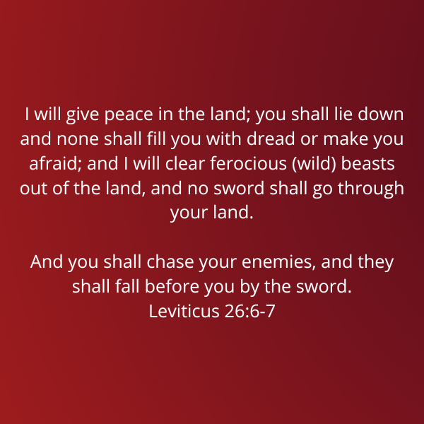 Leviticus26-6-7-Bechukotai