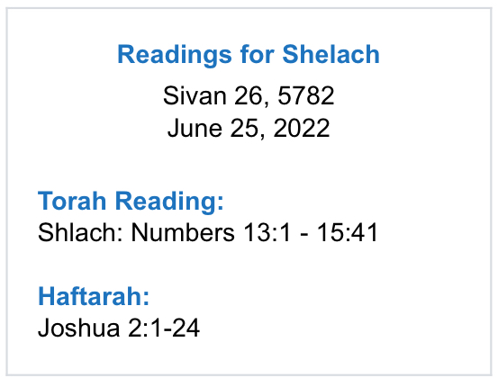 Readings-for-Shelach