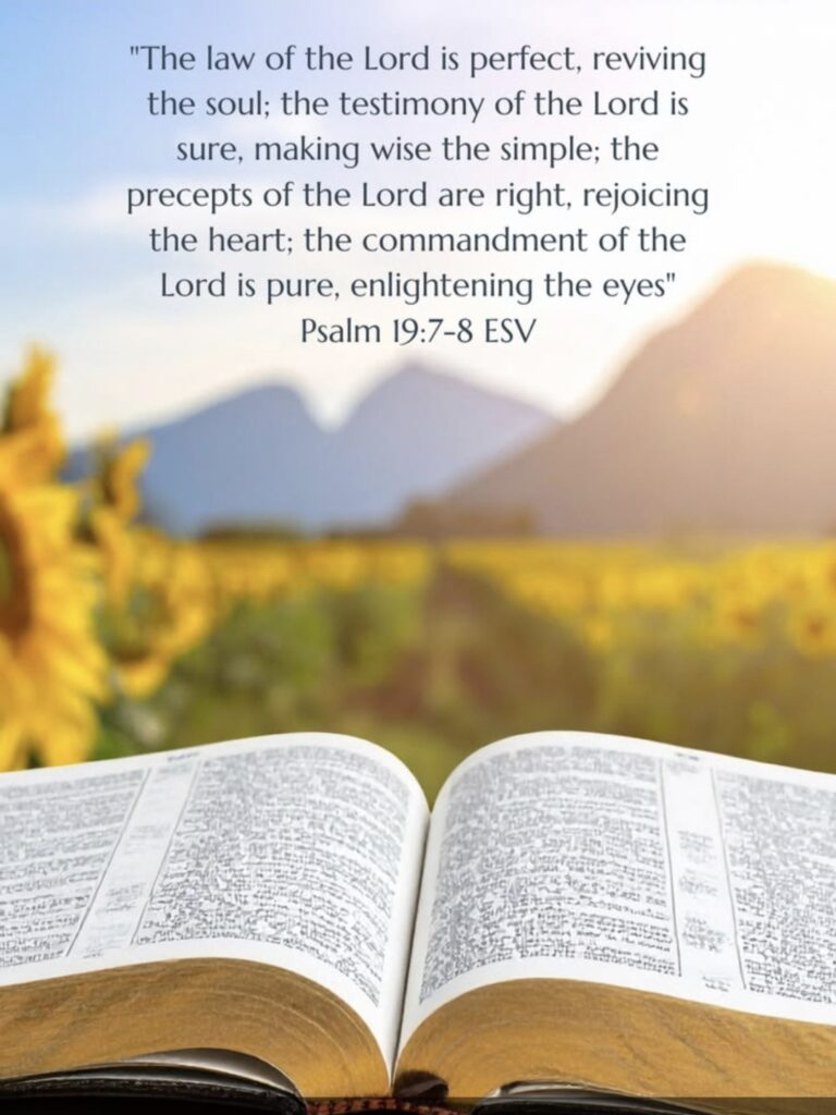Psalm19-7-8