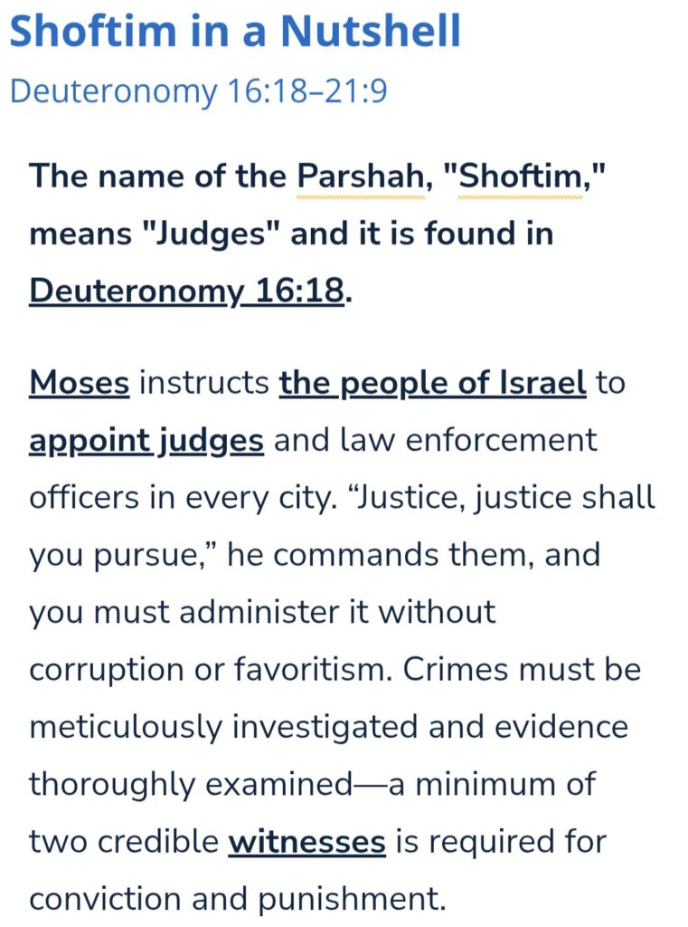 Shoftim-Nutshell-1