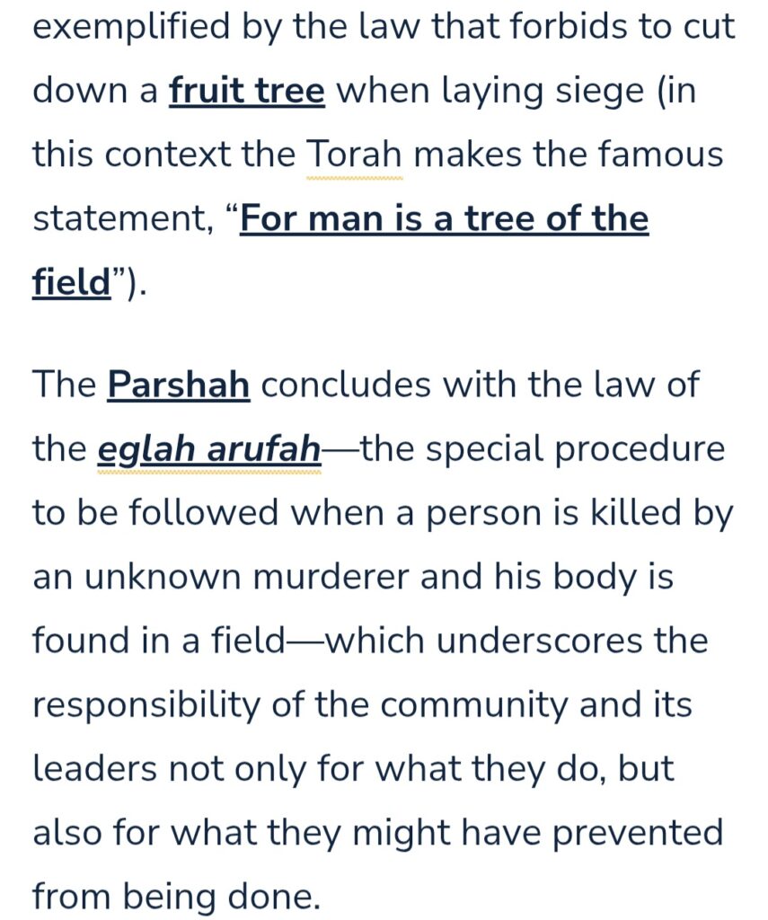 Shoftim-Nutshell-3