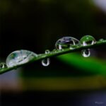 Fresh-Rain-Image